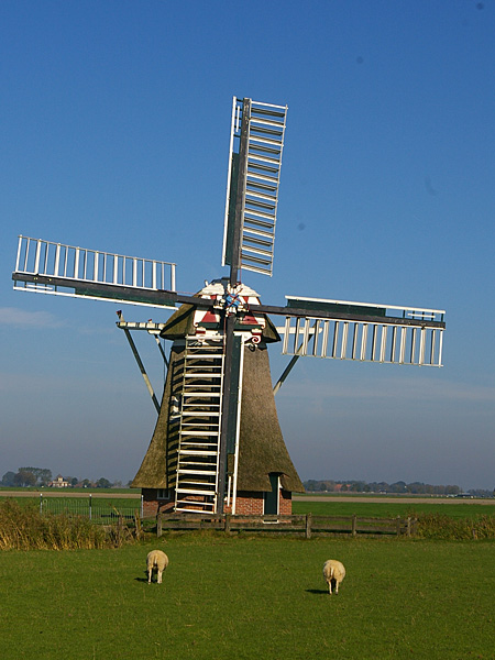 molen